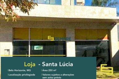 Loja para alugar no Santa Lúcia em BH em excelente localização. O Estabelecimento comercial para alugar, conta sobretudo, com área de 250 m².