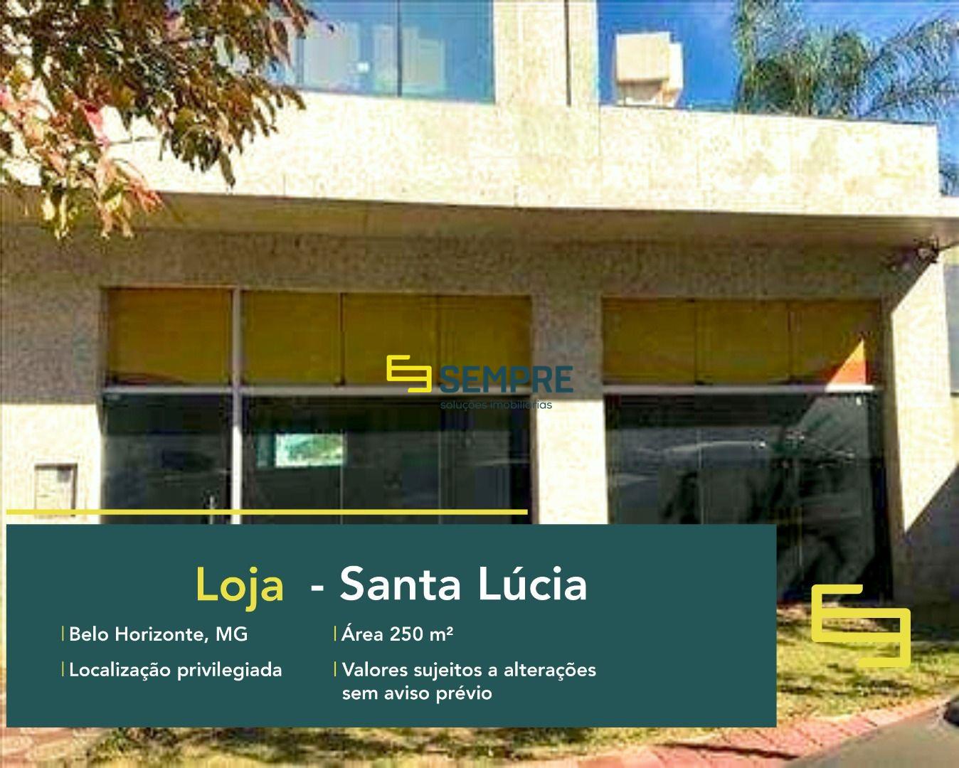 Loja para alugar no Santa Lúcia em BH em excelente localização. O Estabelecimento comercial para alugar, conta sobretudo, com área de 250 m².
