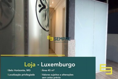 Loja para alugar no Luxemburgo em Belo Horizonte, em excelente localização. O estabelecimento comercial conta com área de 45 m².