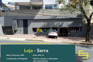 Loja para alugar no bairro Serra em Belo Horizonte, excelente ponto comercial. O estabelecimento comercial conta com área de 246 m².