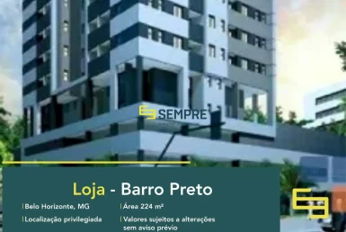 Loja à venda no bairro Barro Preto em Belo Horizonte, em excelente localização. O estabelecimento comercial conta com área de 224,51 m².