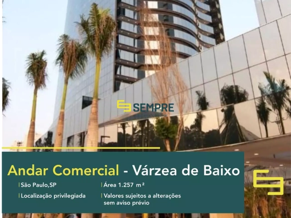 Andar corrido na Torre Alpha 17.007 para alugar em São Paulo, em excelente localização. O ponto comercial conta com área de 1.257 m².