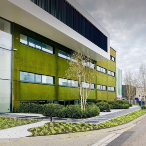 Musgo no concreto? Inovação de startup holandesa une sustentabilidade, eficiência e valorização imobiliária 